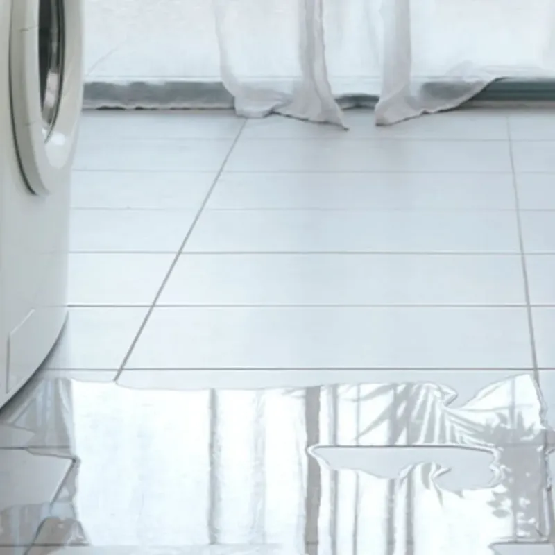 Appliance Leak Cleanup in Maxwell, CA