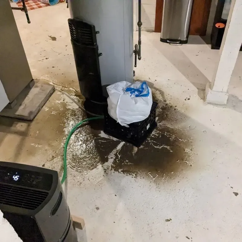Sewage Backup Cleanup Service in Maxwell, CA